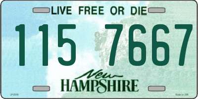 NH license plate 1157667