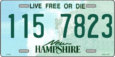 NH license plate 1157823
