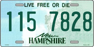 NH license plate 1157828
