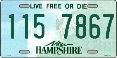 NH license plate 1157867