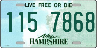 NH license plate 1157868