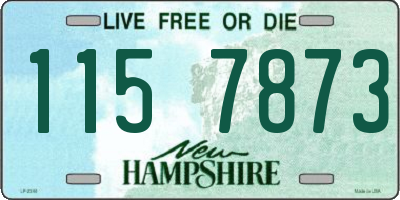 NH license plate 1157873