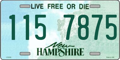 NH license plate 1157875