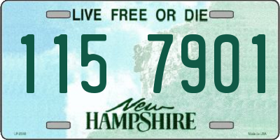 NH license plate 1157901