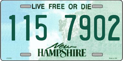 NH license plate 1157902