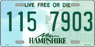 NH license plate 1157903