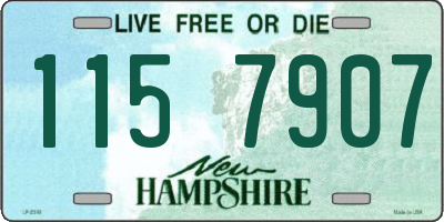 NH license plate 1157907
