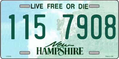 NH license plate 1157908