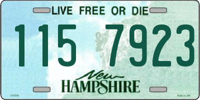 NH license plate 1157923