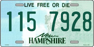 NH license plate 1157928