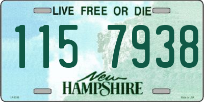 NH license plate 1157938