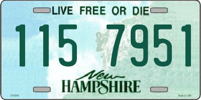 NH license plate 1157951