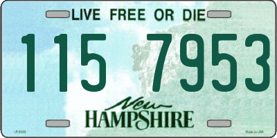 NH license plate 1157953