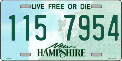 NH license plate 1157954