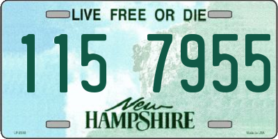 NH license plate 1157955