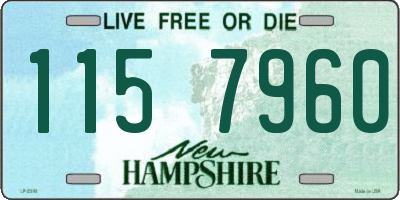 NH license plate 1157960