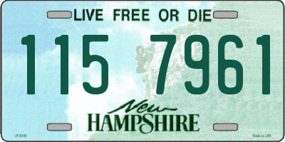 NH license plate 1157961