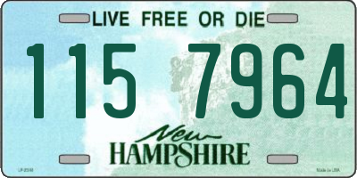 NH license plate 1157964