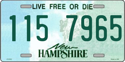 NH license plate 1157965