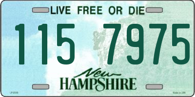NH license plate 1157975
