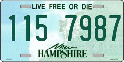 NH license plate 1157987