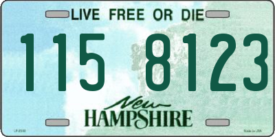 NH license plate 1158123