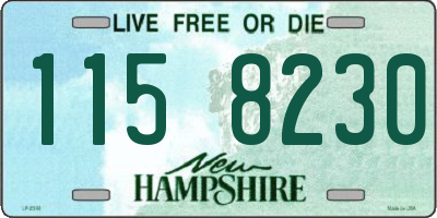 NH license plate 1158230