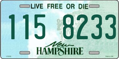 NH license plate 1158233