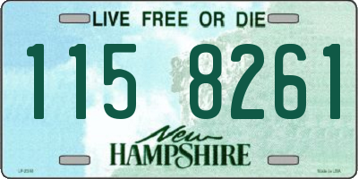 NH license plate 1158261