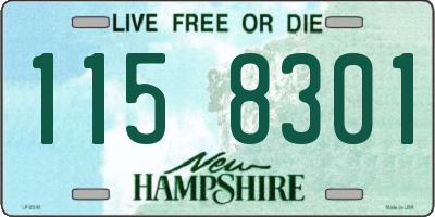 NH license plate 1158301