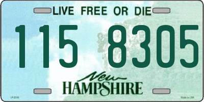 NH license plate 1158305
