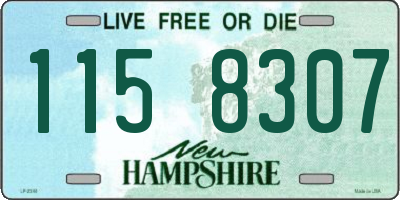 NH license plate 1158307