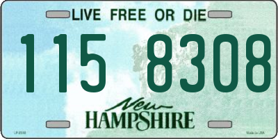 NH license plate 1158308