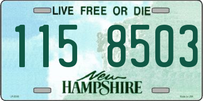 NH license plate 1158503