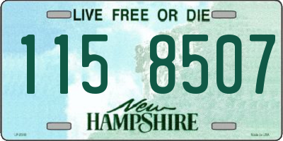 NH license plate 1158507