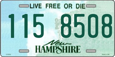 NH license plate 1158508