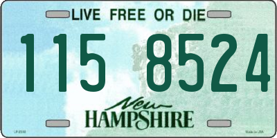 NH license plate 1158524