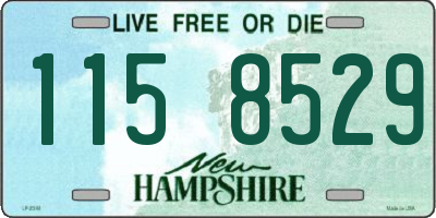 NH license plate 1158529