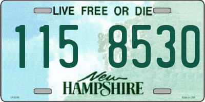 NH license plate 1158530