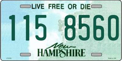 NH license plate 1158560