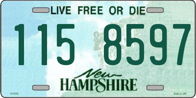 NH license plate 1158597