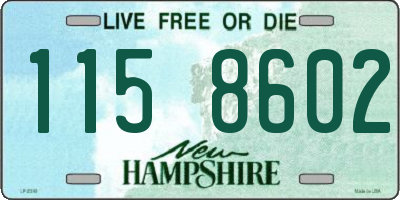 NH license plate 1158602