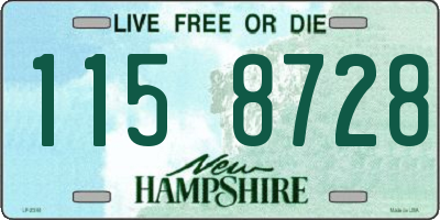 NH license plate 1158728