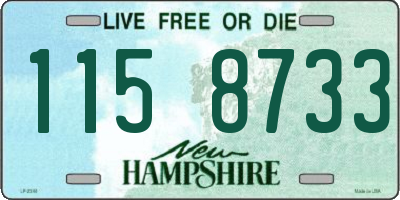 NH license plate 1158733