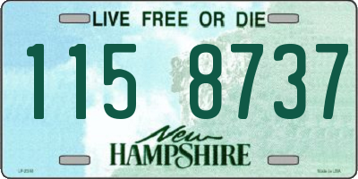 NH license plate 1158737