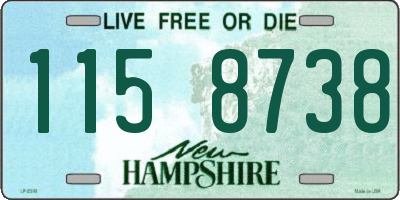 NH license plate 1158738