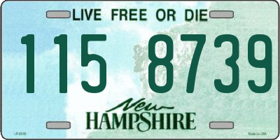 NH license plate 1158739