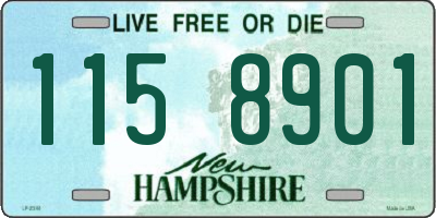 NH license plate 1158901