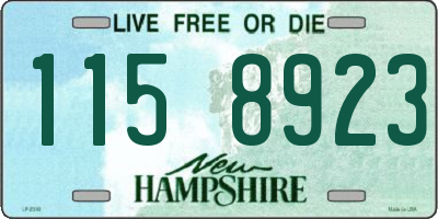 NH license plate 1158923