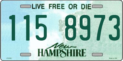 NH license plate 1158973
